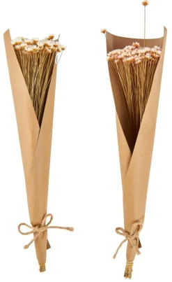 CASA ACTINO Fleurs Séchées Rose