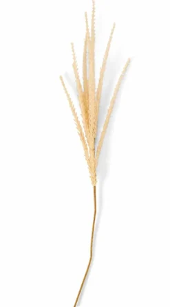 CASA ADDO Vase Crème