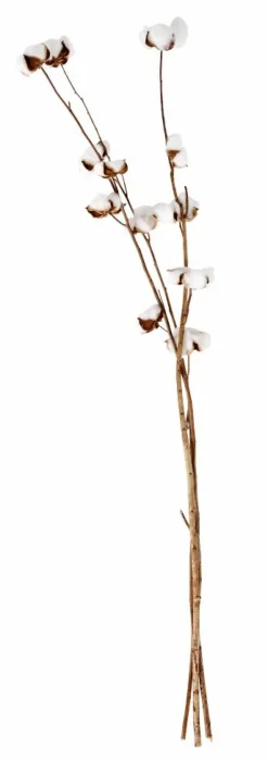 CASA ADDO Vase Crème