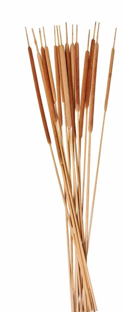 CASA AFRIKA Vase Naturel