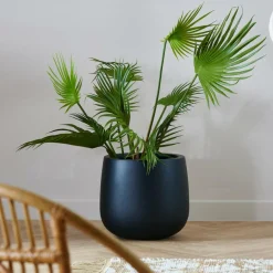 CASA ARECA Palmier Vert
