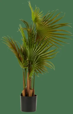 CASA ARECA Palmier Vert