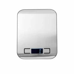 CASA BASIC Râpe Noix Muscade Argent