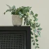 CASA CALATHEA Plante Suspendue Gris, Vert, Mauve