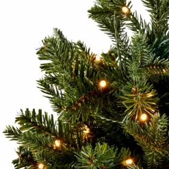 CASA CEDER Branche Décorative Vert