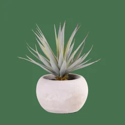 CASA CEMENT Plante Grasse Artificielle Gris