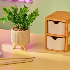 CASA CERA Plante Artificielle Diverses Couleurs