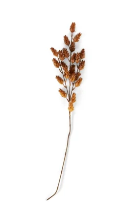 CASA CIPRA Tige Vert