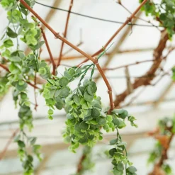 CASA DAHLIA Tige De Fleurs Crème