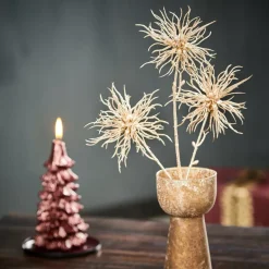 CASA DANDIL Tige Orange