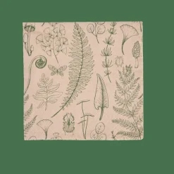 CASA ECO NATURE Set De 20 Serviettes Multicolore