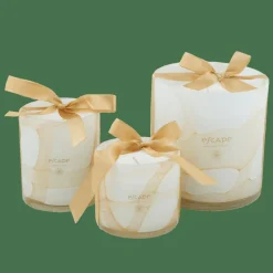 CASA ESCAPE SENSES Bougie Parfumée Multicolore