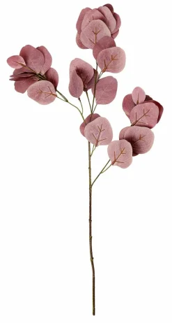 CASA EUCALYPTUS Couronne Vert