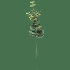 CASA EUCALYPTUS Tige Artificielle Vert