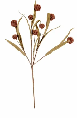 CASA EVA Eucalyptus Vert