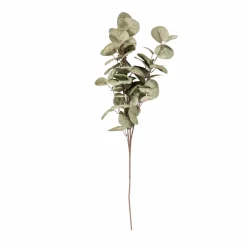 CASA EVA Tige De Fleurs Multicolore