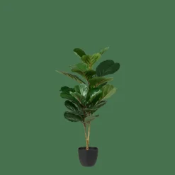 CASA FIGI Plante Artificielle Noir, Vert Foncé