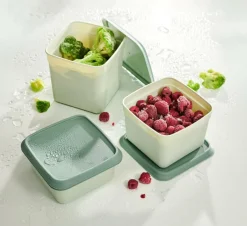 CASA FREEZER Boîtes Congélation Set De 10 Menthe, Vert Foncé