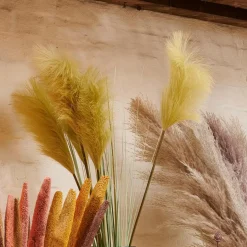 CASA GRASS Botte D'herbe Rouge