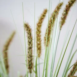 CASA GRASS Botte D'herbe Rouge