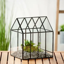 CASA GREENHOUSE Terrarium Transparent