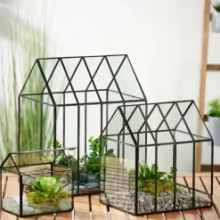CASA GREENHOUSE Terrarium Transparent