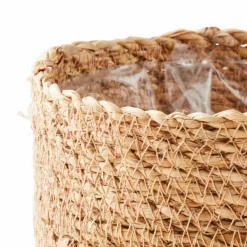 CASA HERBA Herbe En Pot Vert