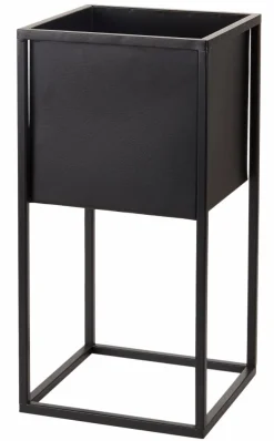 CASA HERBA Herbe En Pot Vert