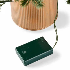 CASA HYMNE Branche Décorative Vert