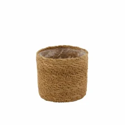 CASA KWAI Palmier Vert