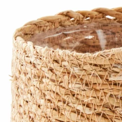 CASA KWAI Palmier Vert