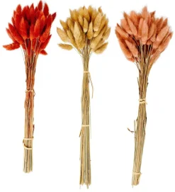 CASA LAGURUS Lagure Ovale Rose