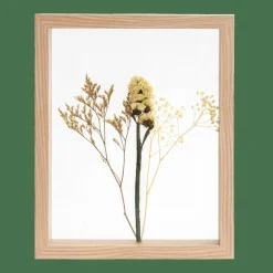 CASA LIMONIUM Décoration Murale Naturel