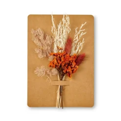 CASA MIA Décoration Séchée Orange