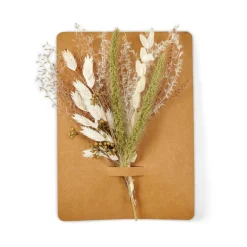 CASA MIA Décoration Séchée Vert