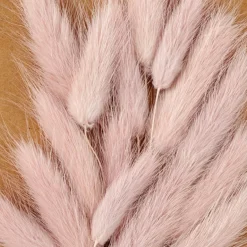 CASA MINA Cloche Avec Déco Séchée Rose