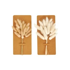 CASA MINA Déco Séchée Brun