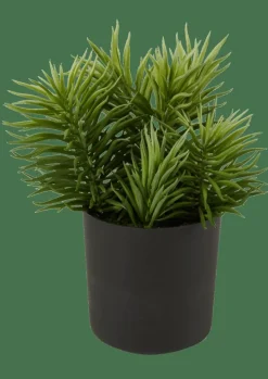 CASA MOHAVE Diverses Couleurs