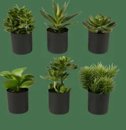 CASA MOHAVE Diverses Couleurs