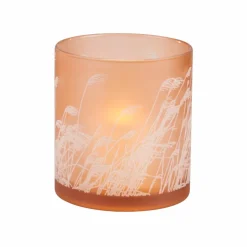 CASA PAMPAS Tiges D'herbe Gris