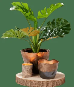 CASA PAULO Plat Naturel