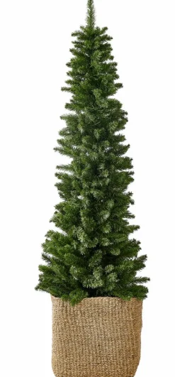 CASA PINUS Branche De Noël Rouge, Vert