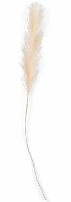 CASA PLUME Plumes Décoratives Brun Clair