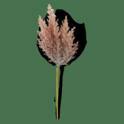 CASA PLUME Tige Panache Orange