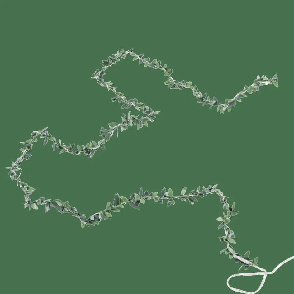 CASA RIKA Guirlande Lumineuse 20 Leds Vert