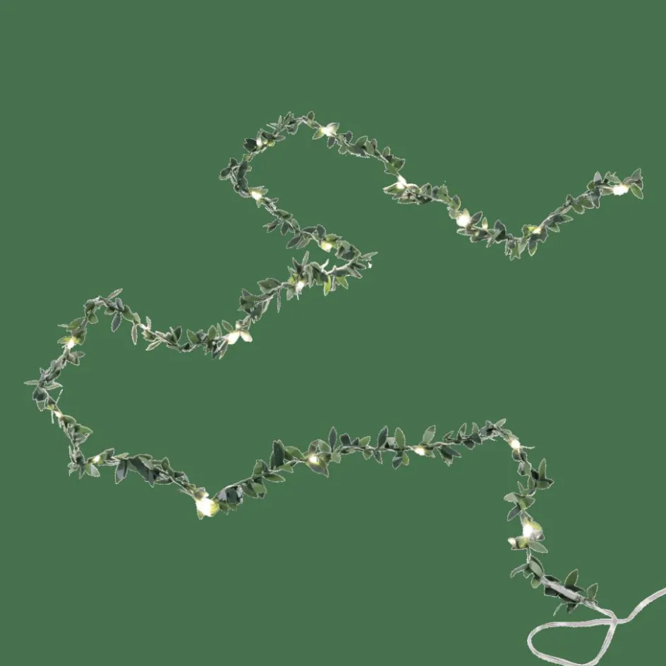 CASA RIKA Guirlande Lumineuse 20 Leds Vert