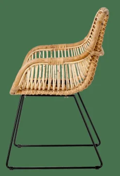 CASA ROTAN Chaise De Salle à Manger Naturel