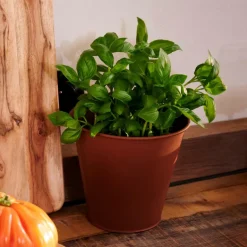 CASA RUSTY Pot De Fleurs Brun