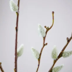 CASA SALICA Branche Artificielle Vert