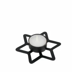 CASA STAR Décoration Séchée